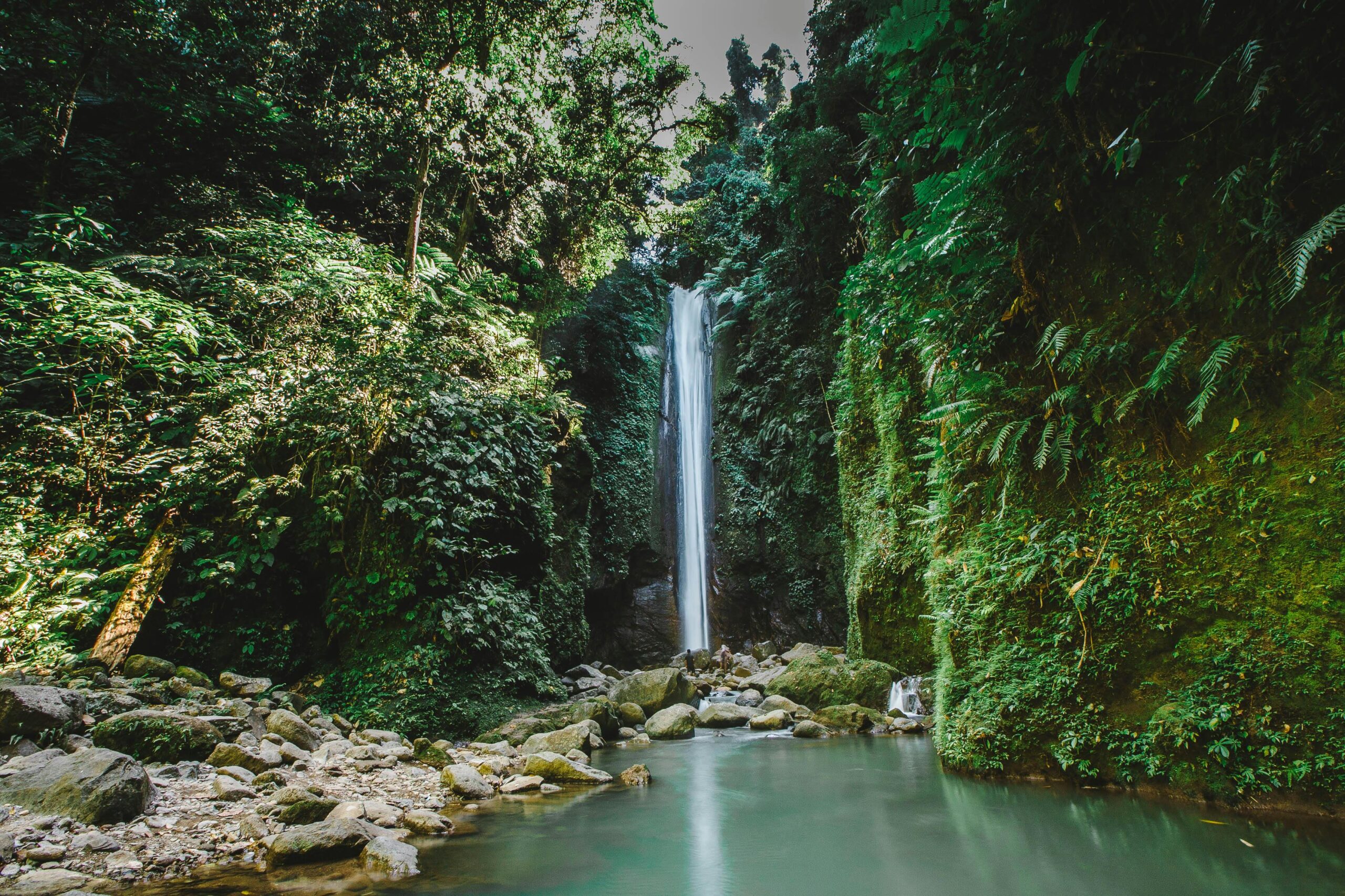 Discover a tranquil waterfall amidst a lush tropical jungle, perfect for nature and travel enthusiasts.